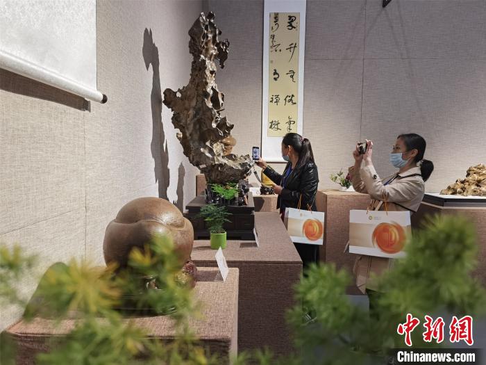 “中华石都”广西柳州邀四方宾客“线上+线下”赏石