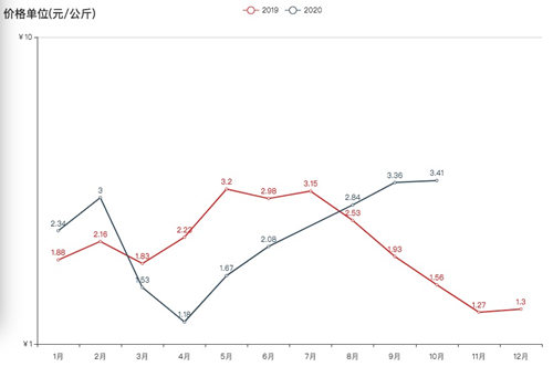 大葱价格创五年来新高 批发商调运多产地大葱平抑北京市场