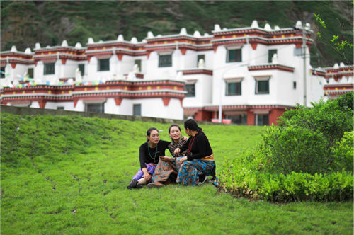 搬离山巅的俄儿村 元气森林“搬”来现代化生活