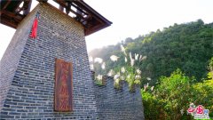 广西上林：养心赏景霞客行乘船畅游"下龙湾"
