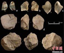 最新研究：华南百色盆地手斧人群原料选择策略明显