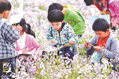 校园办起“丰收节”田间地头看自然种菜做饭成作业