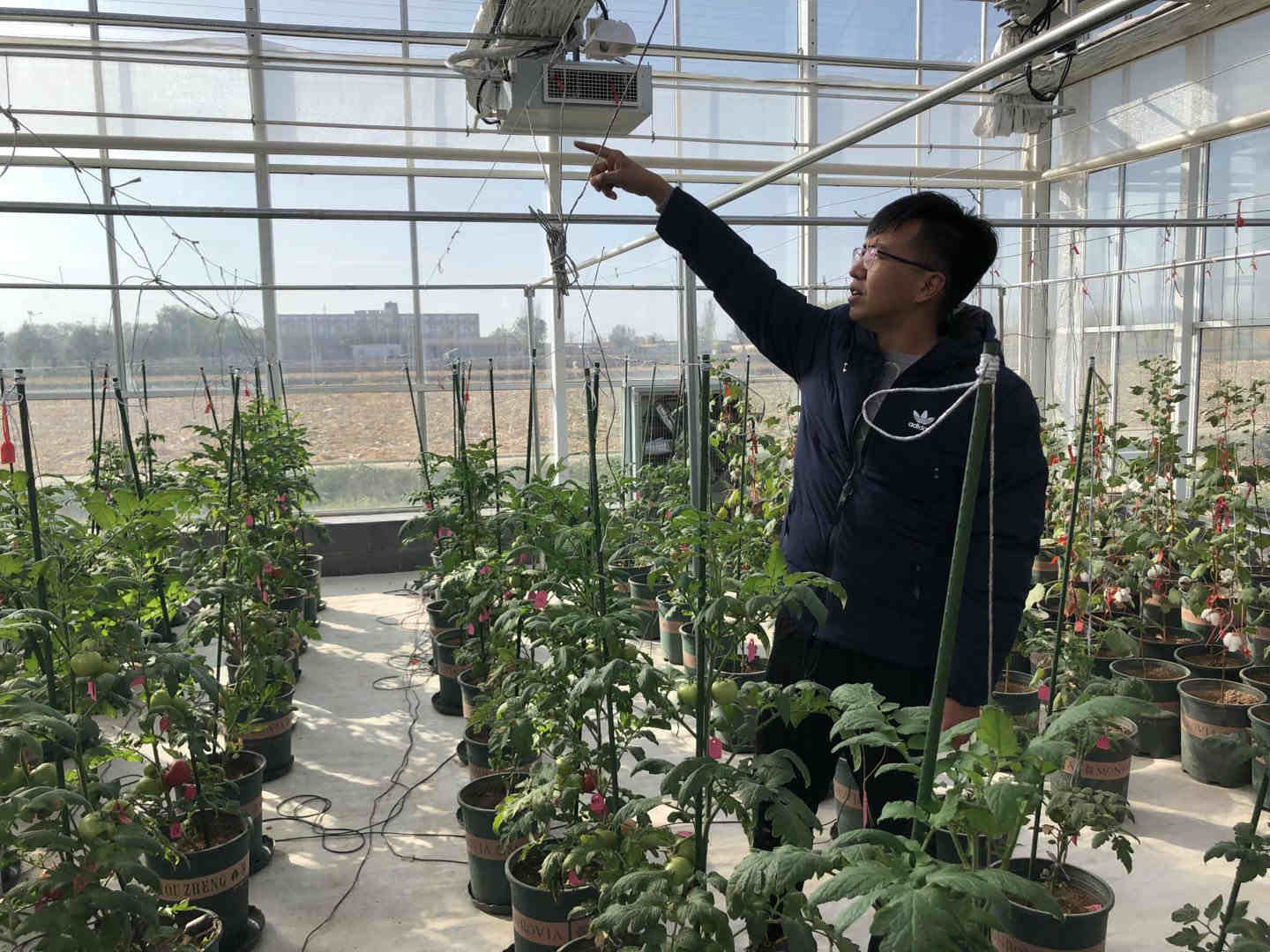 石羊河流域：走出高质量节水发展新路