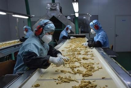 新政密集发布 地方加速推动中医药振兴