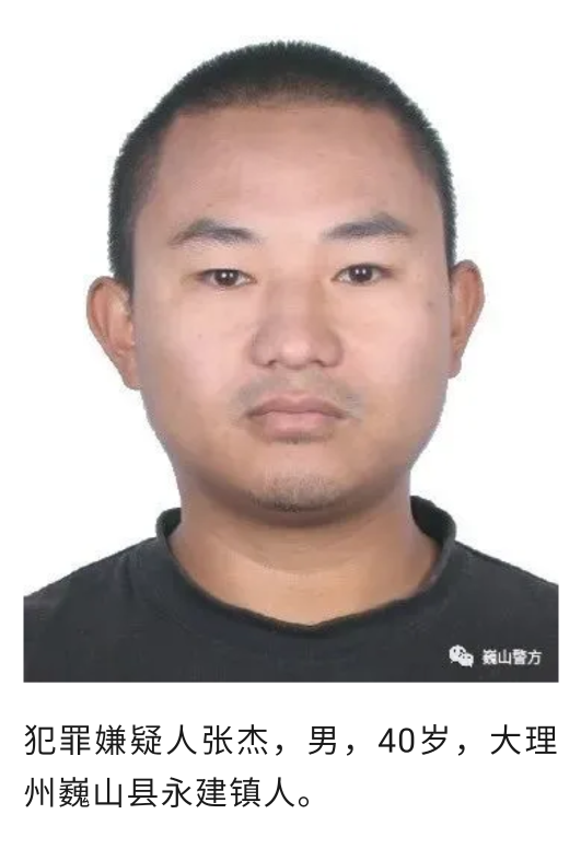 抓获19人！云南大理打掉一个涉恶犯罪团伙