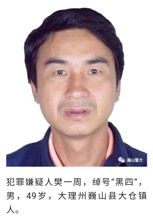 抓获19人！云南大理打掉一个涉恶犯罪团伙