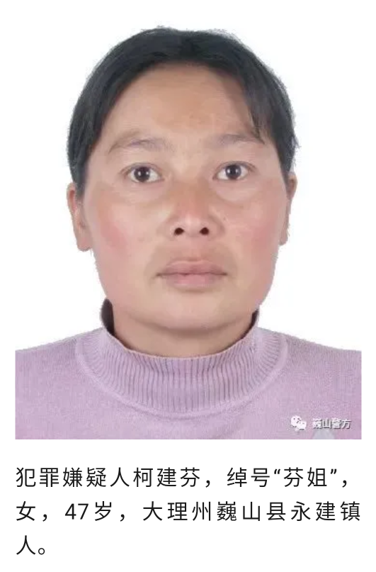 抓获19人！云南大理打掉一个涉恶犯罪团伙