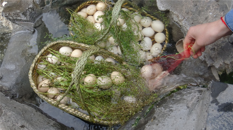 邓棋方谈汝城温泉：夏日休闲避暑 冬季滋补养生
