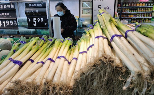 月底南方大葱批量上市 “向前葱”或可放缓