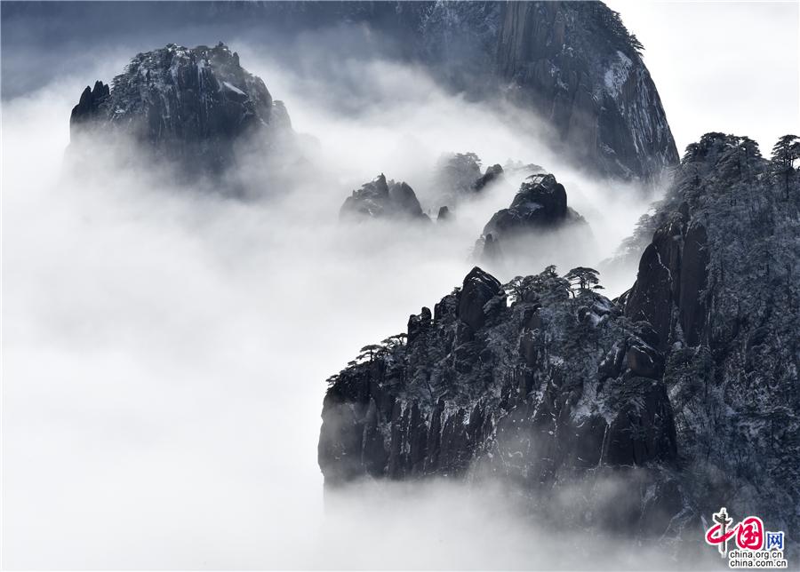 大雪过后的黄山，是一个被冰雪包裹的艺术品