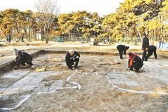 圆明园首次发现皇家稻田遗址