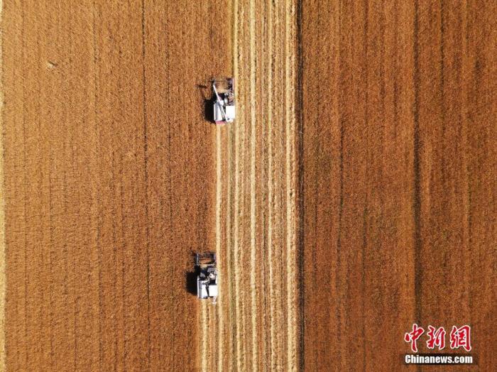 国家发话了！过年，碗里不会缺肉少菜