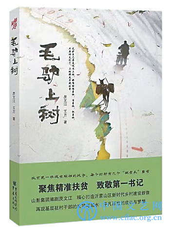 扶贫小说：不同视角下的时代主题书写