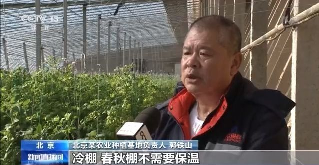有了这份成绩单 冬春蔬菜供应有保障!