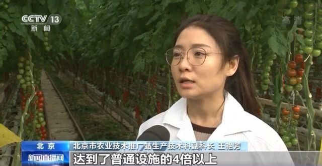 有了这份成绩单 冬春蔬菜供应有保障!
