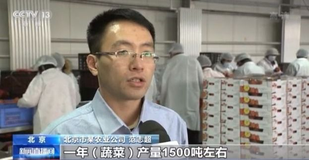 有了这份成绩单 冬春蔬菜供应有保障!