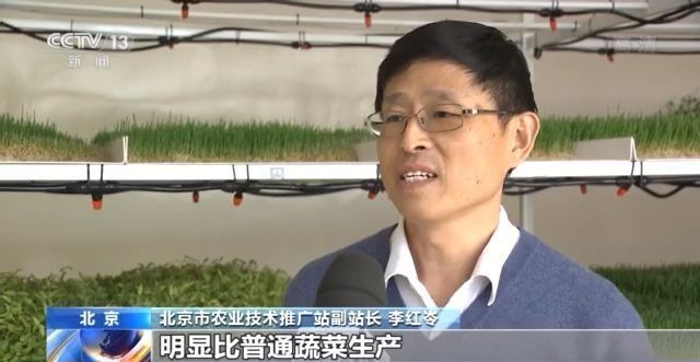 有了这份成绩单 冬春蔬菜供应有保障!