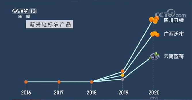 中国经济活力重现！这些“买”出来的数据会说话