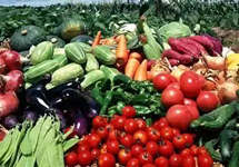 “阳光农安”将成未来农产品质量安全监管重要举措