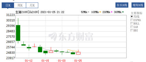 猪企2020|探索多种养殖模式,谨慎观望生猪期货