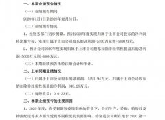 ST中葡预计2020年亏损超5100万元，提示存在退市风险