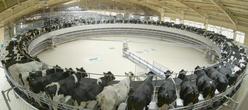 中宣部、国家发改委发布“诚信之星” 飞鹤铸就中国制造的典范