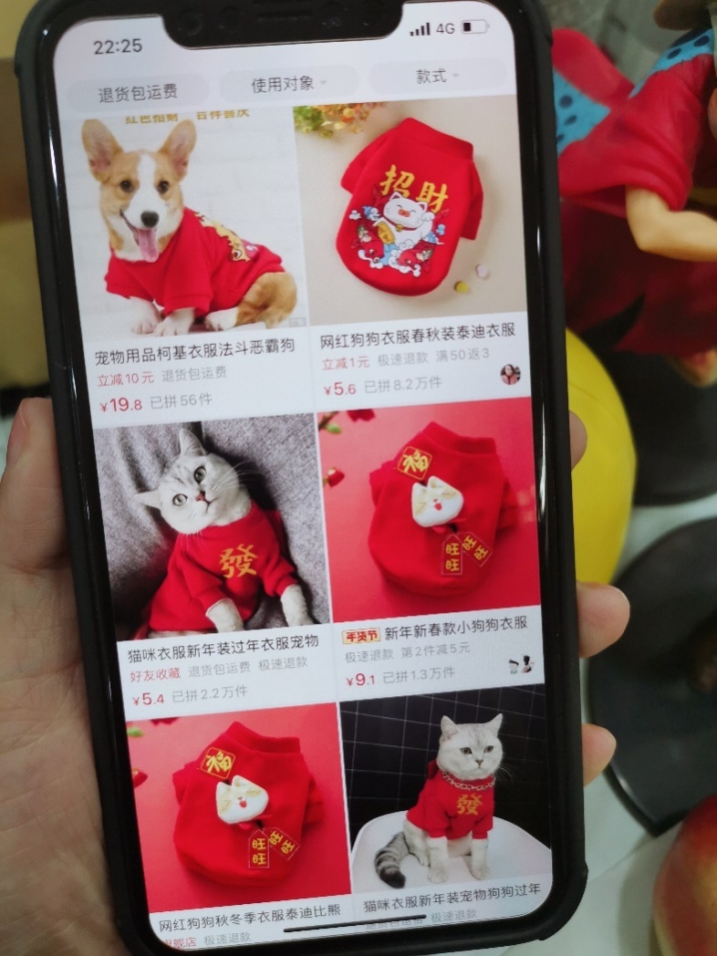 年轻人“就地过年”打算怎么过？拼多多数据：看书、撸狗、健身