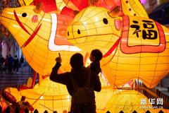 澳门：点亮牛年新春彩灯