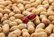 花生期货上市 油脂油料安全再添新工具