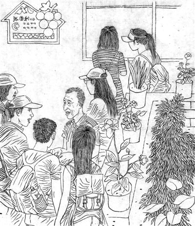 山葡萄酿出甜日子（脱贫故事绘·心声篇）