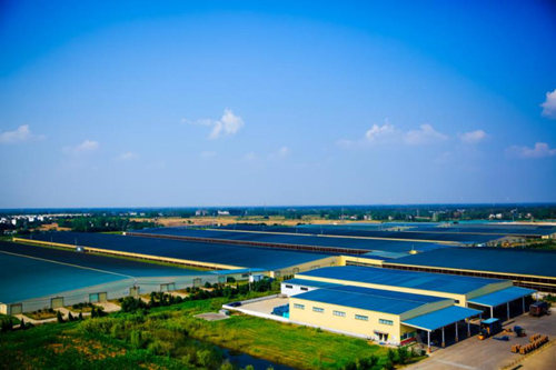 蒙牛五大保障举措加码稳产保供 50亿元免息资金再援牧场助运营