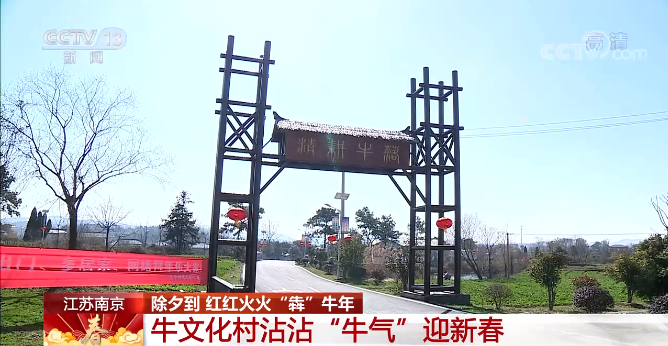 红灯笼、中国结……各地纷纷扮靓迎新春“犇”牛年