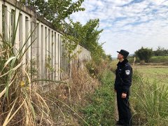 春节坚守者：入警四年未回乡过年，守护鹿寨春运的平安
