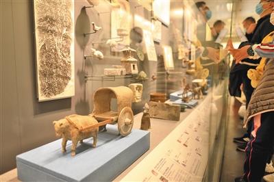 听故事、看电影、猜灯谜，首博今年春节开夜场