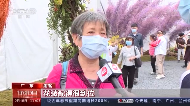 春节周边游深度游市场火爆 文化活动烘托节日氛围