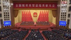 脱贫攻坚丨潘鲁生：手艺扶贫的中国经验