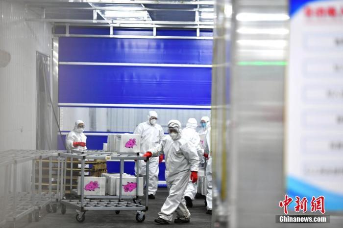 资料图：在一进口冷链食品监管仓，工作人员正在转运商品。