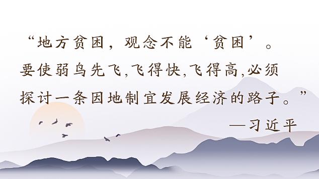 时政微视频丨下党往事