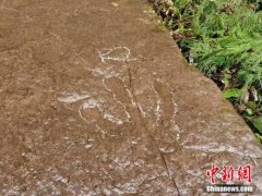 找到神奇恐龙一共分几步？“恐龙猎人”手把手教你