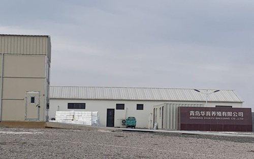 盘点跨界养猪：风口上的猪能飞多久？