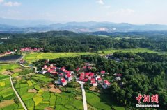 全国政协委员赵东亮：守护乡土文化的“形”与“魂”