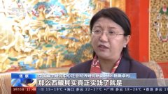 联合国人权理事会“西藏脱贫攻坚和文化保护”云上边会：西藏各族群众生存权和发展权获得全面保障