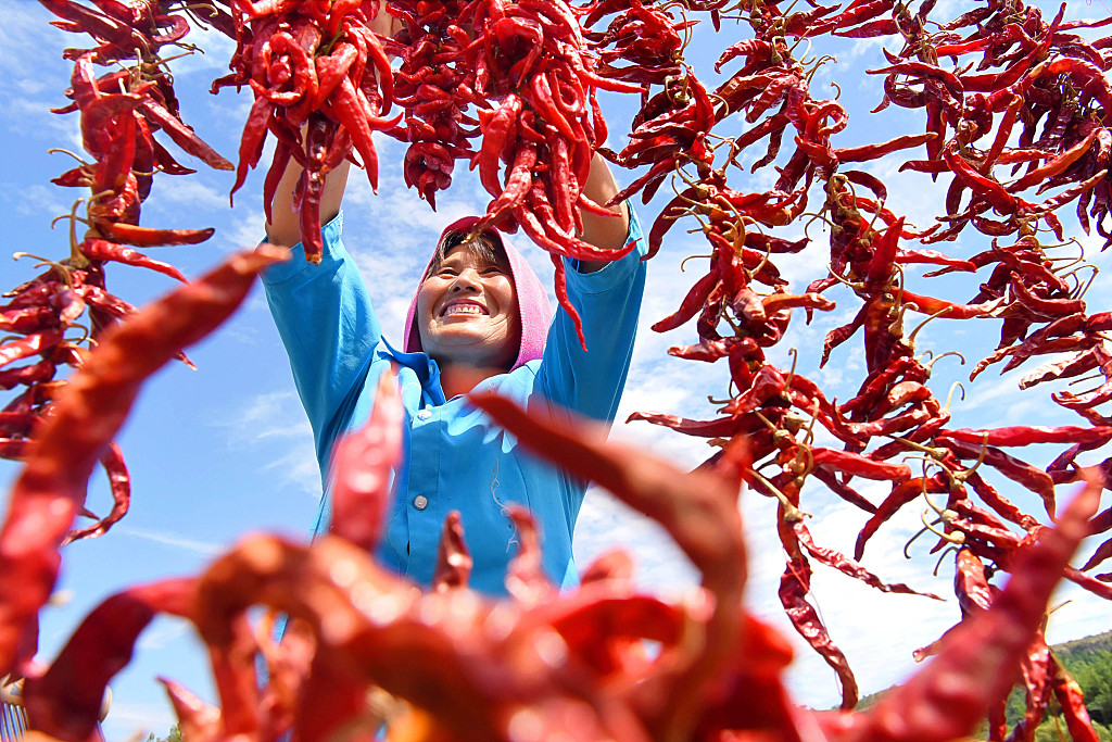 “十三五”期间农民收入年均实际增长6%