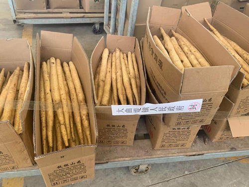 “漂白山药”追踪：蠡县开展联合调查，一涉事工厂被查封