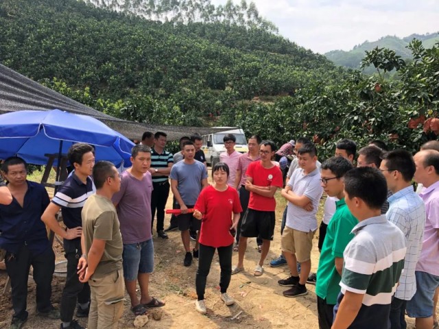 科技助力乡村振兴再出发丨科技让“八闽大地”生长出看得见的力量