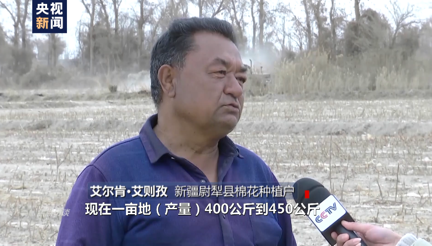 白棉花为何上了“黑名单”?