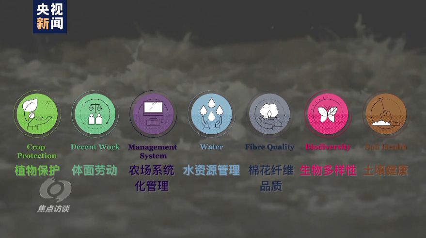 白棉花为何上了“黑名单”?