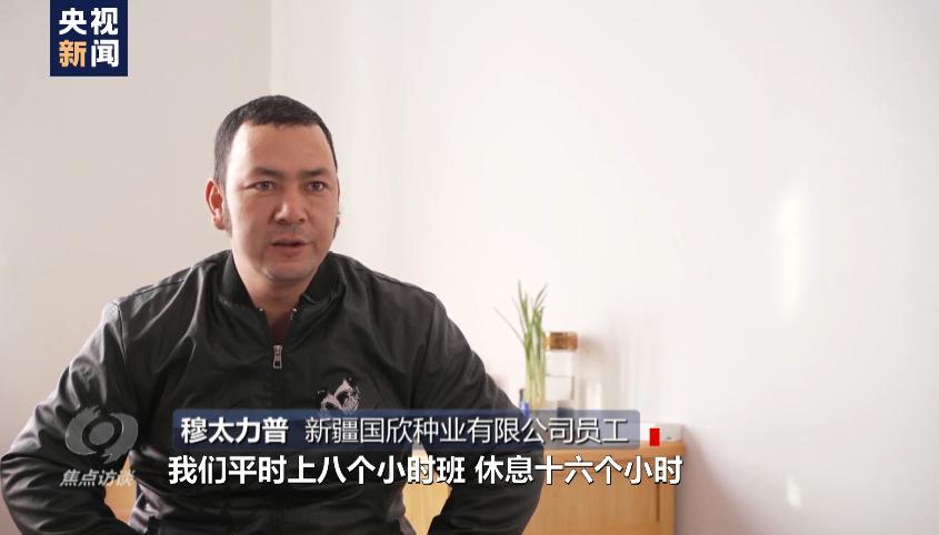 白棉花为何上了“黑名单”?