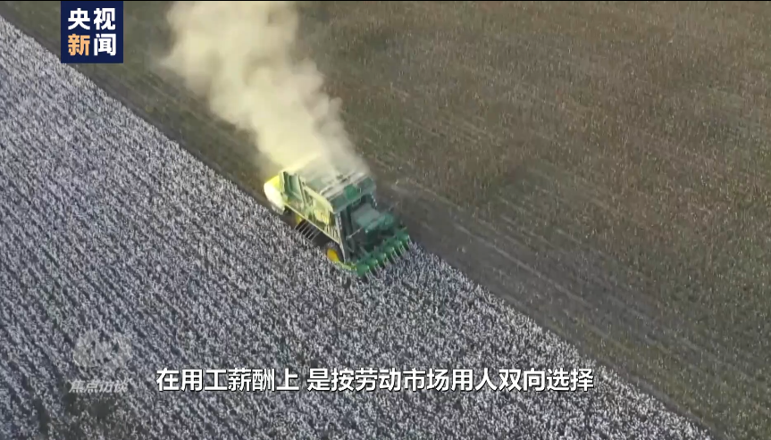 白棉花为何上了“黑名单”?