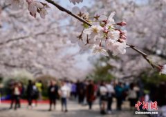 文旅部提醒游客：清明节出游期间疫情防控不松懈